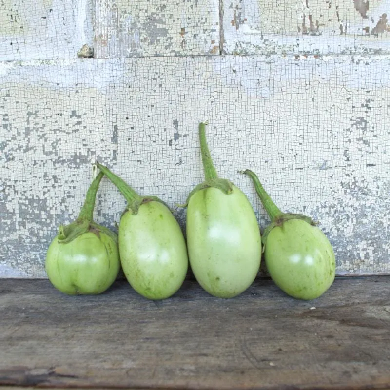 Apple Green Eggplant (70 Days)