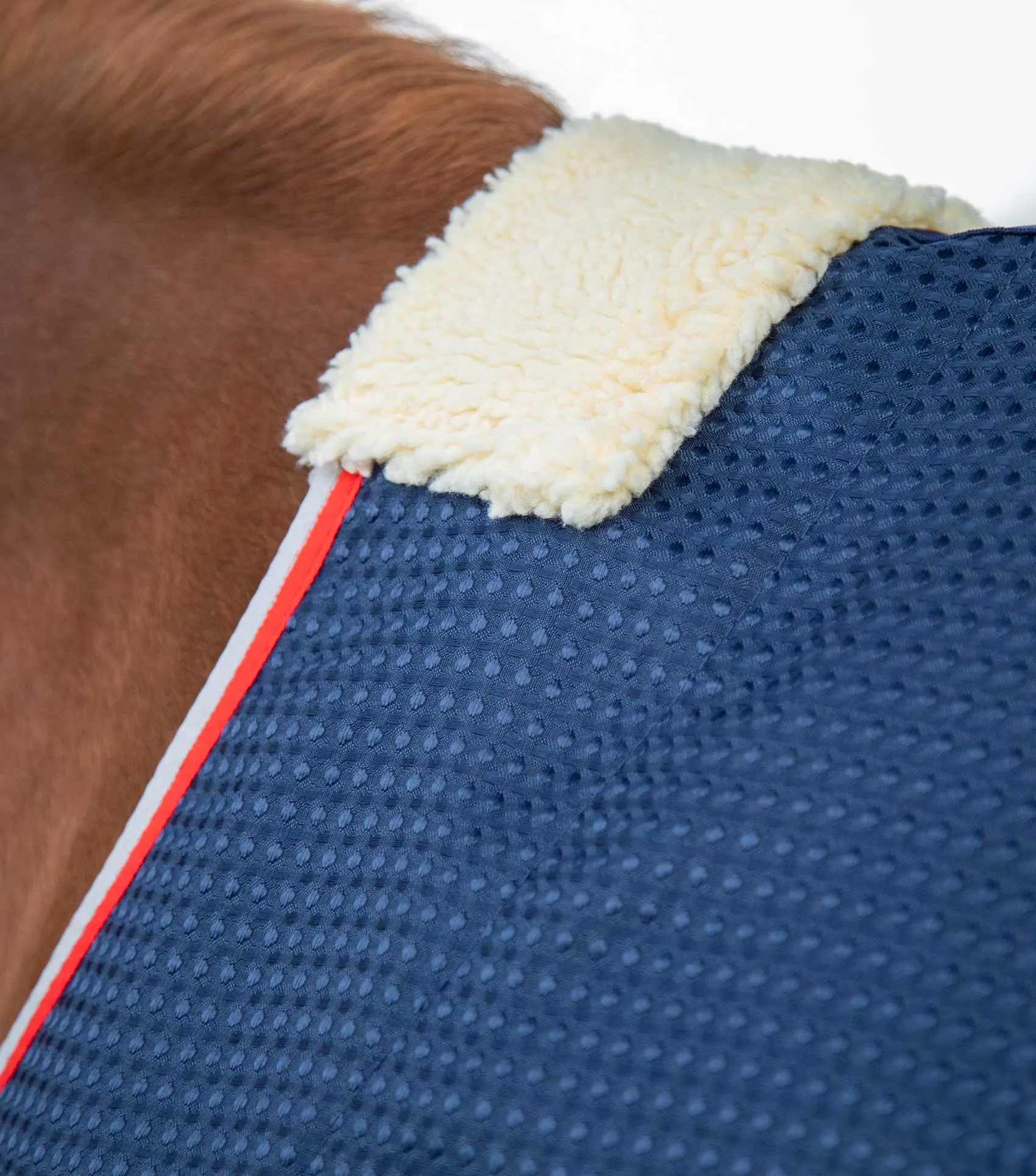 Buster Waffle Horse Cooler Rug Navy