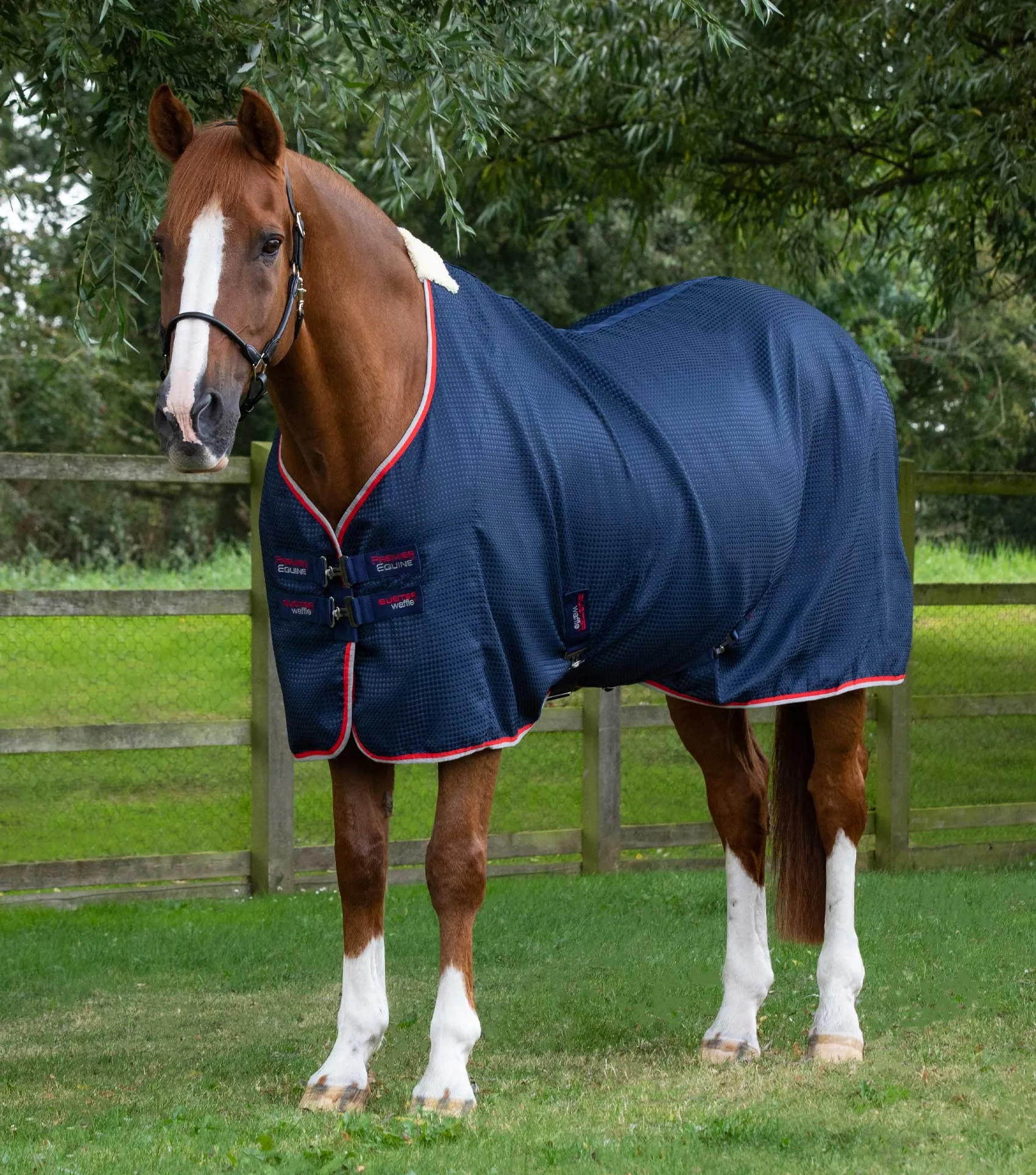 Buster Waffle Horse Cooler Rug Navy