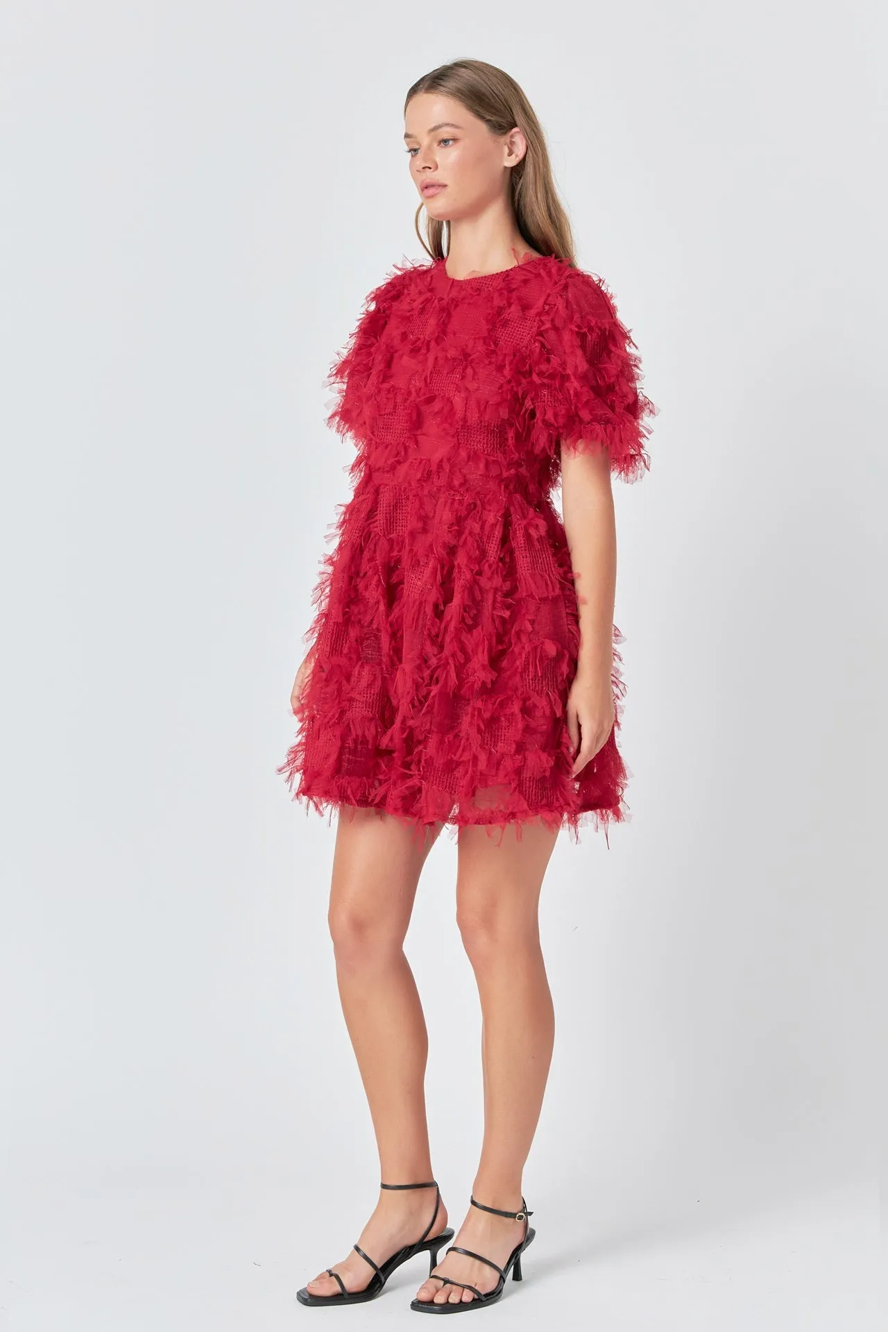 Endless Rose - Textured Mesh Mini Dress